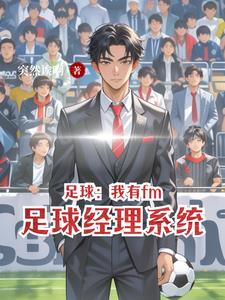 fm足球经理中文